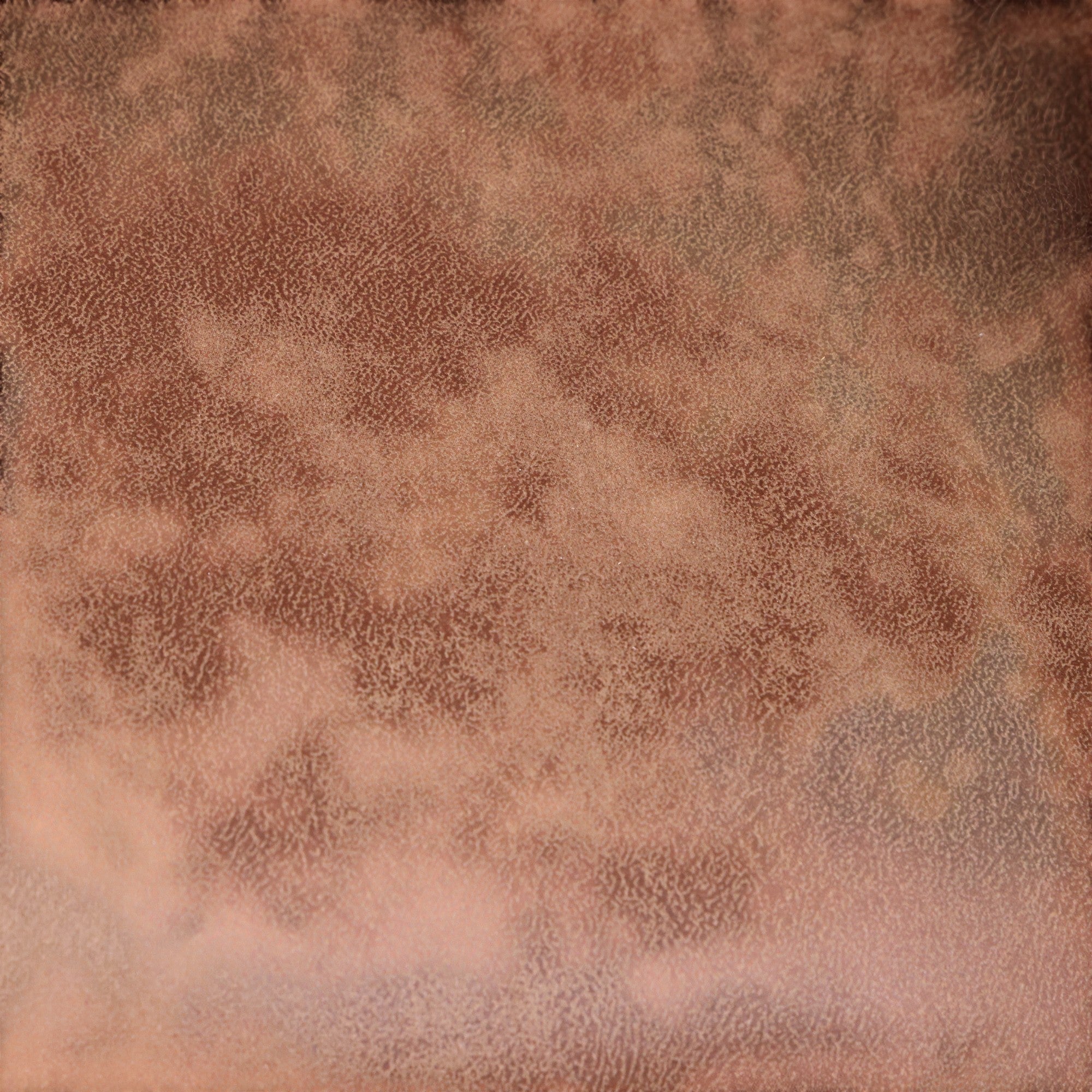 انترية 649