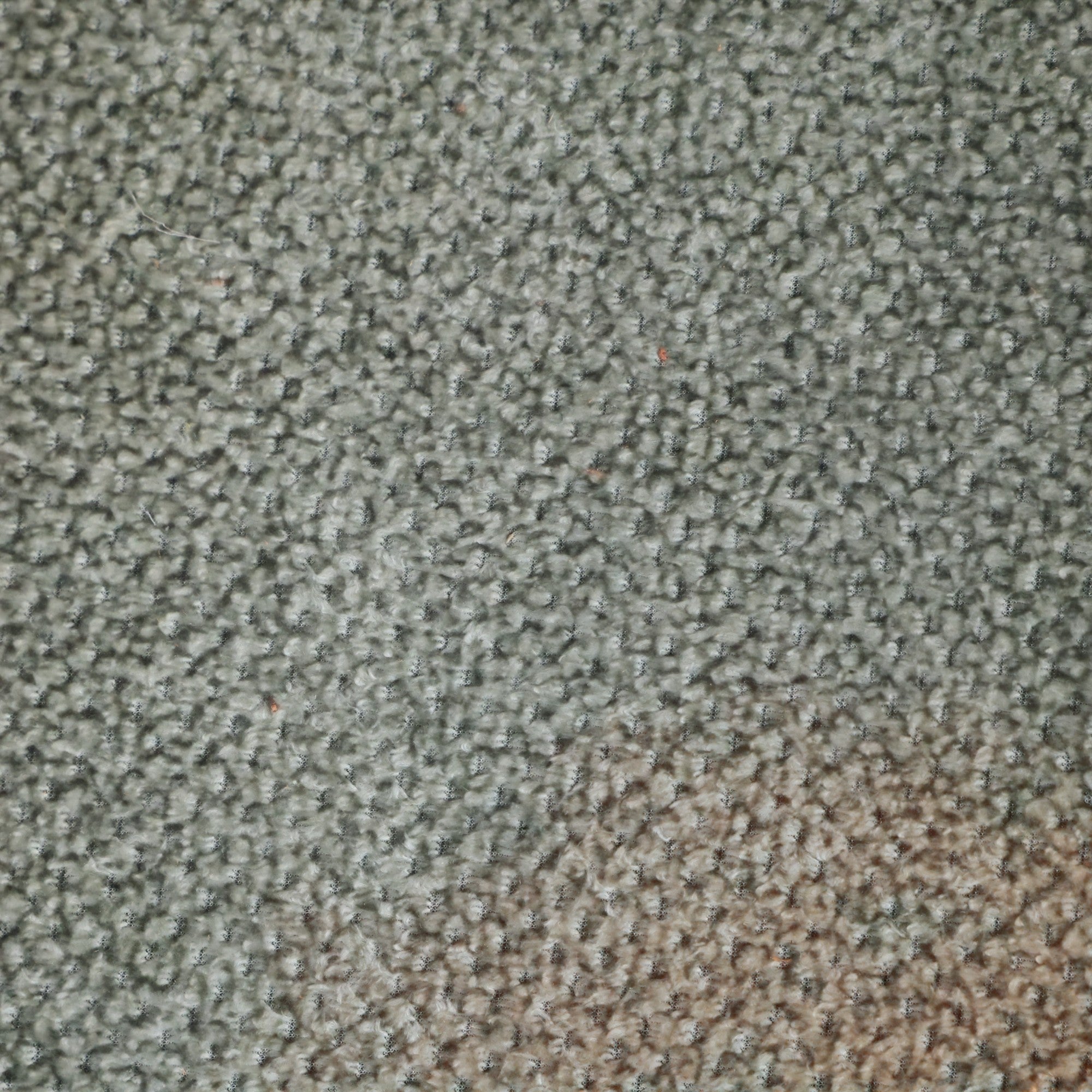 انترية 590
